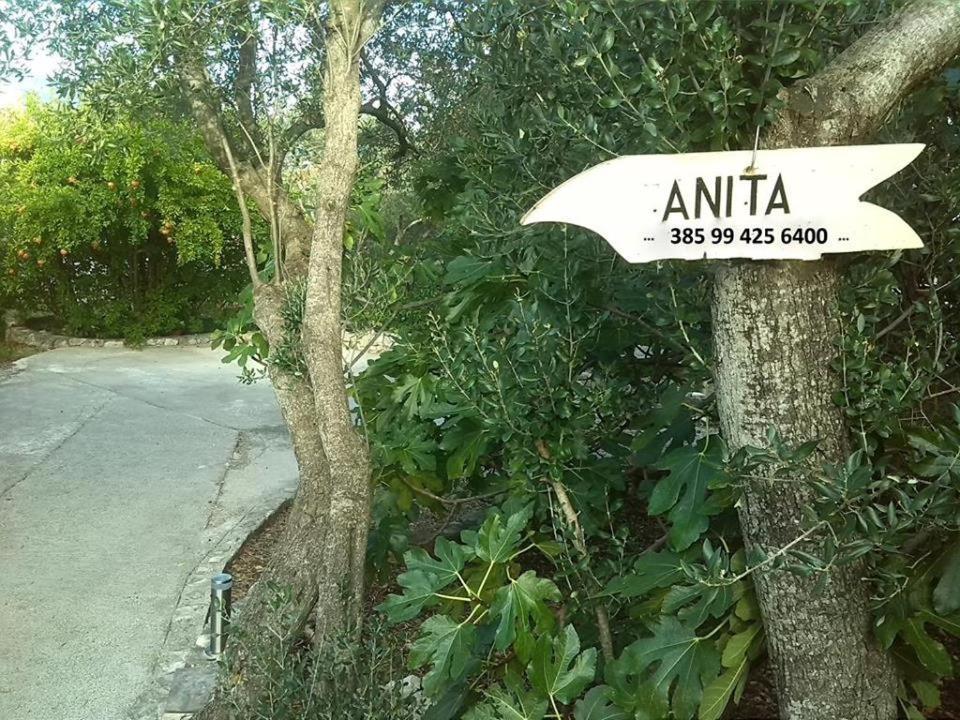 Apartmani Anita, Korcula 外观 照片